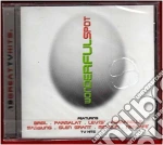 Wonderful Spot 1999 cd