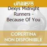 Dexys Midnight Runners - Because Of You cd