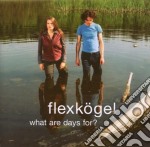 Flexkogel - What Are Days For?