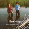 Flexkogel - What Are Days For? cd