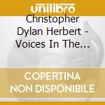 Christopher Dylan Herbert - Voices In The Wilderness cd