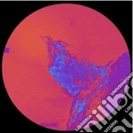 (LP Vinile) Chihei Hatakeyama - Forgotten Hill vinile
