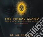 Dr Joe Dispenza - Pineal Gland: Tuning In To Higher Dimensions Of cd