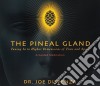 Dr Joe Dispenza - Pineal Gland: Tuning In To Higher Dimensions Of cd