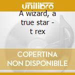 A wizard, a true star - t rex cd