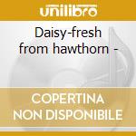Daisy-fresh from hawthorn - cd