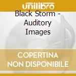 Black Storm - Auditory Images cd