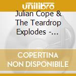 Julian Cope & The Teardrop Explodes - Floored Genius: The Best Of 1979-91 cd