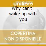 Why can't i wake up with you cd