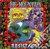 Big Mountain - Resistance cd