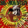 Big Mountain - Free Up cd