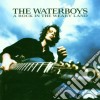 Waterboys - A Rock In Weary Land cd