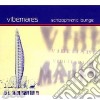 Vibemares - Schizophrenic Lounge -Digi- cd