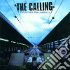 Calling (The) - Camino Palmero cd