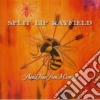 Split Lip Rayfield - Have You Seen It Coming? cd