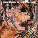 David Kilgour - And The Heavy Eights cd