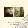 A.C. Newman - The Slow Wonder cd musicale di A.C.NEWMAN