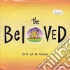 Beloved (The) - You've Got Me Thinking cd