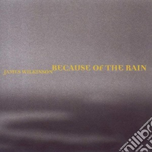 James Wilkinson - Because Of The Rain cd musicale di James Wilkinson