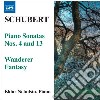 Franz Schubert - Wanderer-fantasie D 760, Sonata Per Pianoforte N.4 D5 37, N.13 D 664 cd