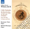 Wallace William Vincent - Celtic Fantasies cd