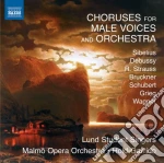 Choruses For Male Voices And Orchestra / Various cd