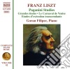 Franz Liszt - Opere Per Pianoforte (integrale) , Vol.42: Studi Su Paganini cd