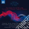 Fabrice Bollon - Your Voice Out Of The Lamb cd