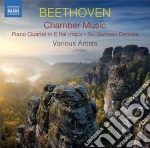 Ludwig Van Beethoven - Chamber Music (2 Cd) cd