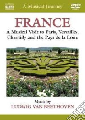 (Music Dvd) Musical Journey (A): France: Versailles, Chantilly, Pays De La Loire / Various cd musicale