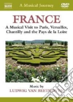 (Music Dvd) Musical Journey (A): France: Versailles, Chantilly, Pays De La Loire / Various cd