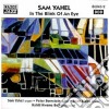 Sam Yahel - In The Blink Of An Eye cd