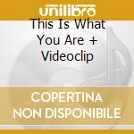 This Is What You Are + Videoclip cd