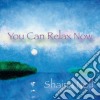 Shaina Noll - You Can Relax Now cd