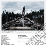 (LP Vinile) Kyle Morton - What Will Destroy You vinile
