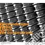 Wiesendanger, Weber, Ulrich - We Concentrate cd