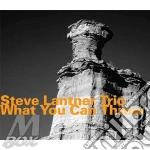 Steve Lantner - What You Can Throw cd