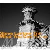 Steve Lantner - What You Can Throw cd