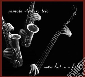 Remote Viewers Trio - Notes Lost In A Filed cd musicale