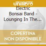 Electric Bonsai Band - Lounging In The Belly Of The Beast cd