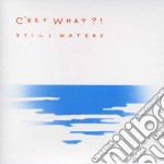 C'est What? - Still Waters