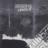 Andrew Hill - A Beautiful Day cd