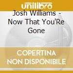 Josh Williams - Now That You'Re Gone