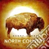 Danny Burns - North Country cd