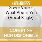 Steve Vaile - What About You (Vocal Single) cd