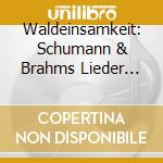 Waldeinsamkeit: Schumann & Brahms Lieder Und Klavierwerke cd