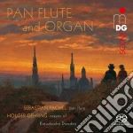 Sebastian Pachel / Holger Gehring - Pan Flute And Organ cd