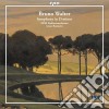 Bruno Walter - Symphony In D Minor cd