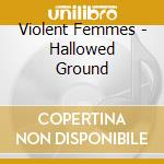 Violent Femmes - Hallowed Ground cd