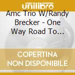 Amc Trio W/Randy Brecker - One Way Road To My Heart